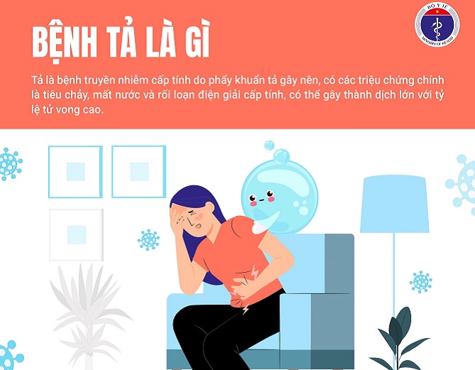Ngành y tế Hà Nội triển khai các biện pháp chủ động phòng chống dịch bệnh tả- Ảnh 1.