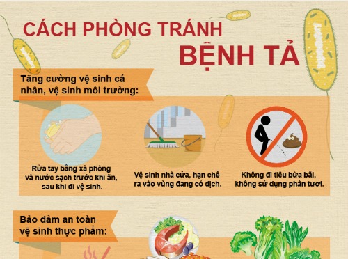 UBND xã Hưng Đạo tăng cường phòng, chống bệnh Tả trên địa bàn- Ảnh 1.