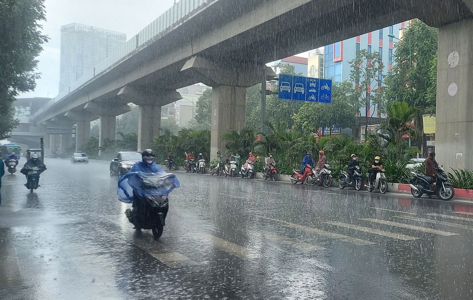 Siêu bão Ragasa tiến vào Biển Đông, Hà Nội cảnh báo ngập lụt- Ảnh 1.
