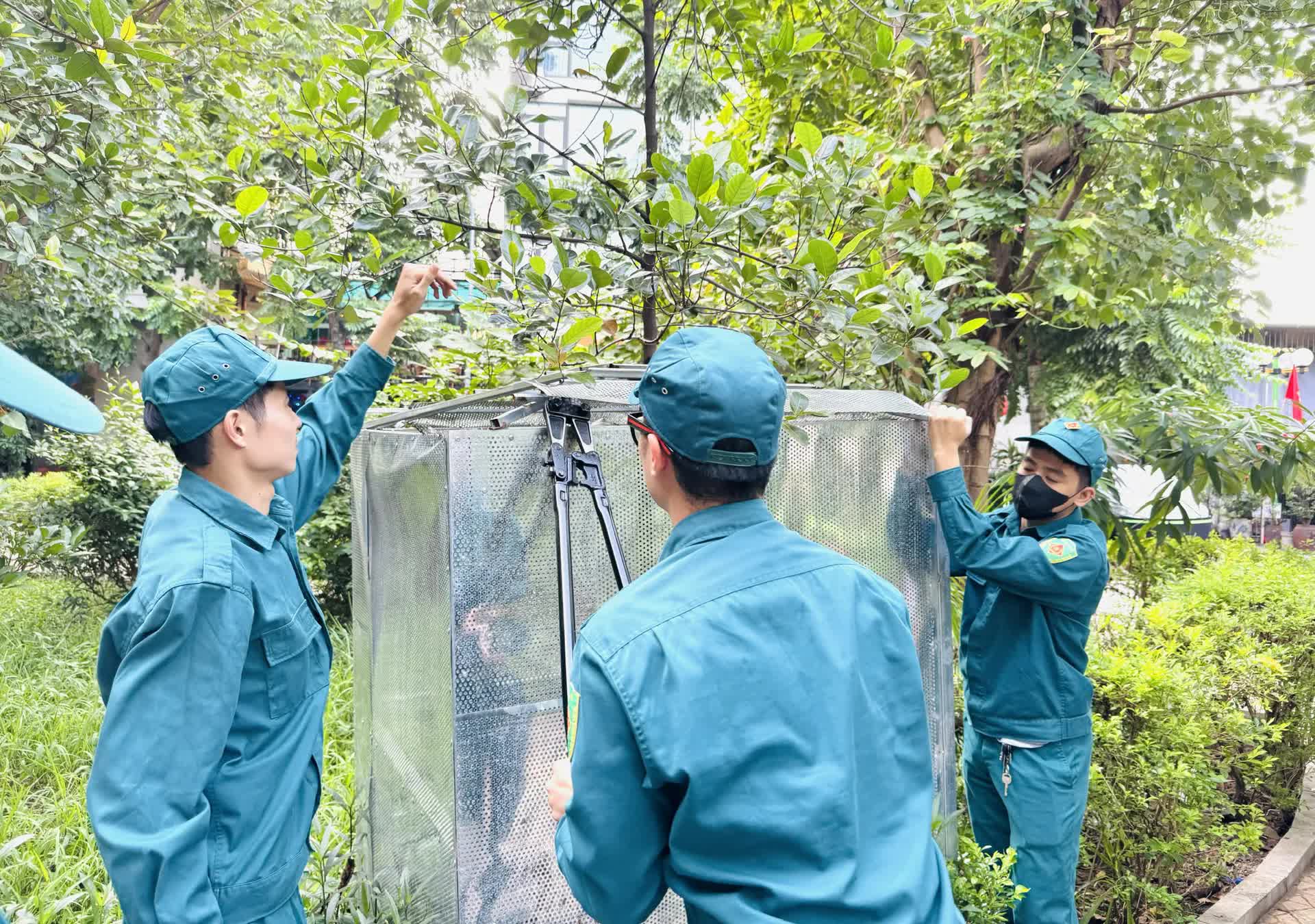 Phường Đống Đa chung tay nâng cao chất lượng không gian xanh ở các công viên- Ảnh 3.