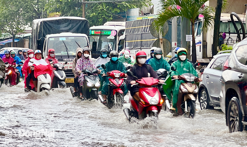 Bão số 9 gây mưa cho xã Nam Phù như thế nào?