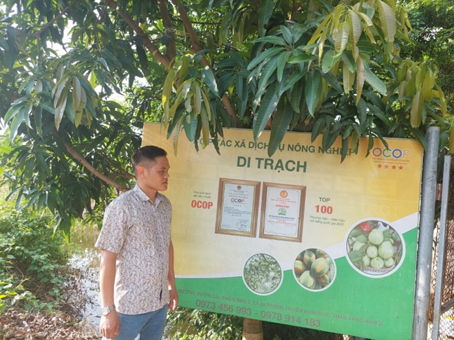 Hoài Đức tập trung phát triển nông nghiệp sạch, hữu cơ- Ảnh 1.