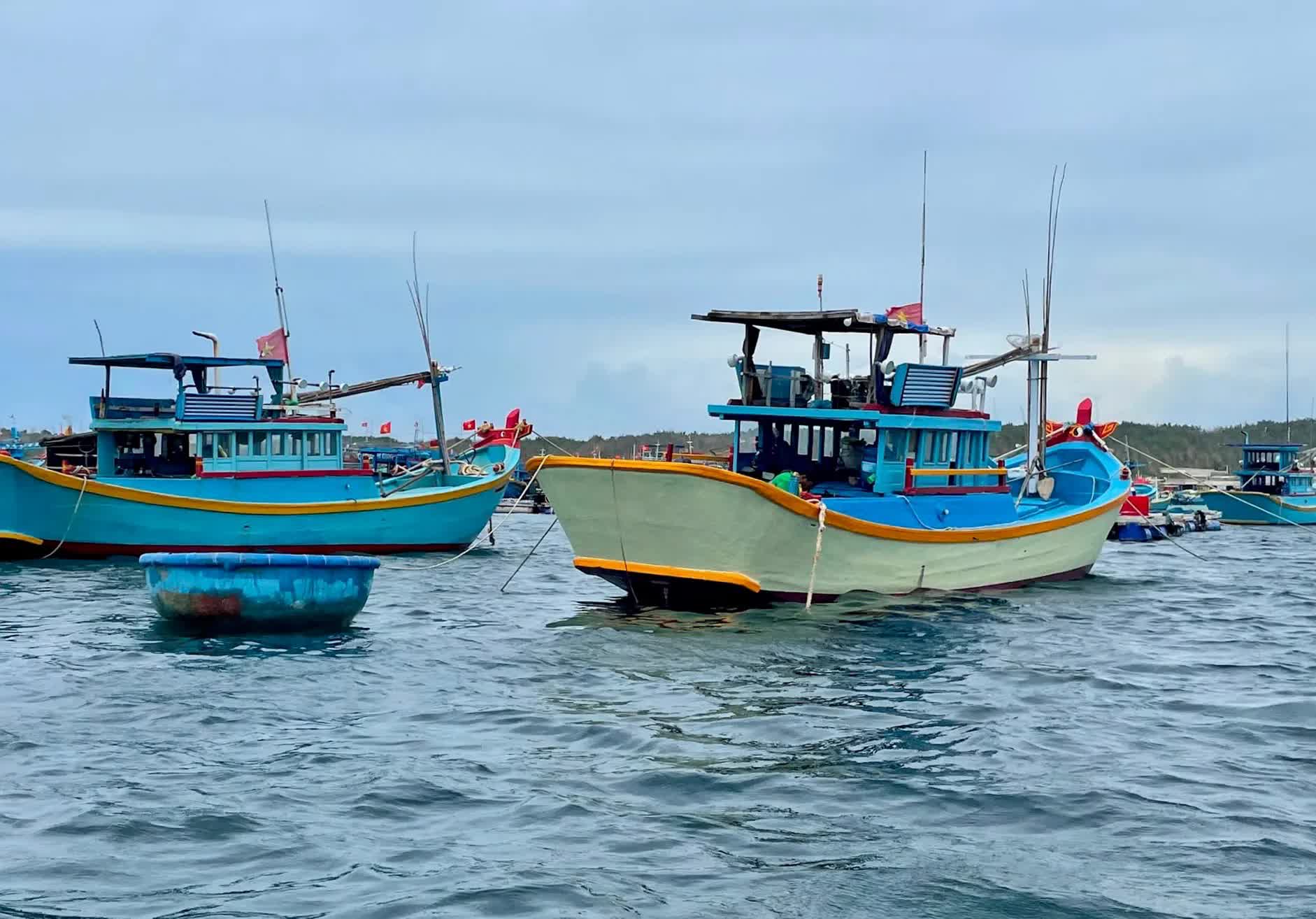 Siết chặt cơ chế “4 tại chỗ” để hạn chế thấp nhất thiệt hại do bão số 9- Ảnh 2.