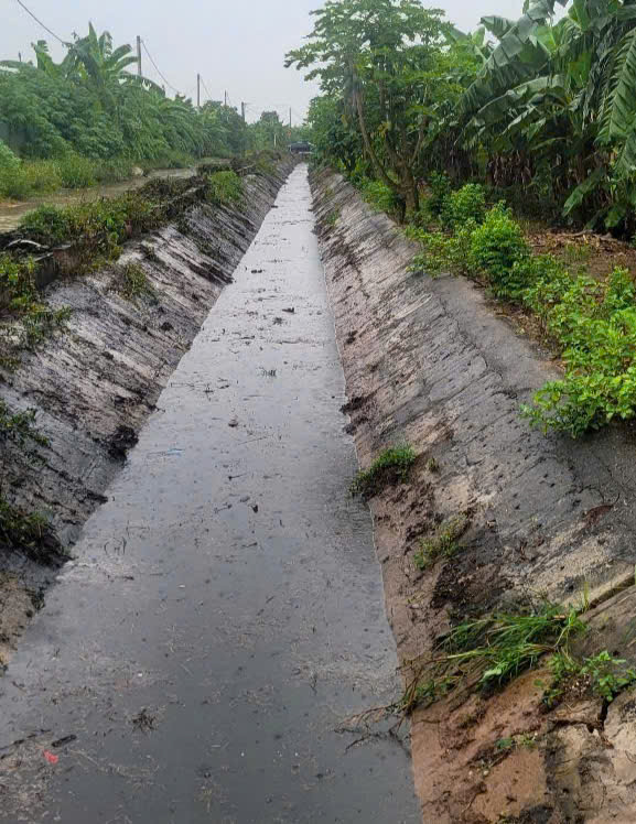 A water channel with trees and power lines  AI-generated content may be incorrect.