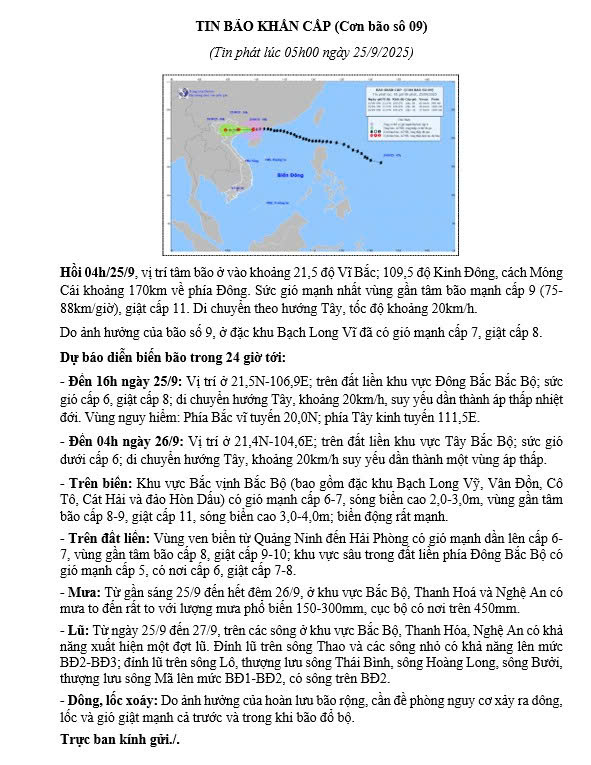 TIN BÃO KHẨN CẤP (Cơn bão số 09)- Ảnh 1.