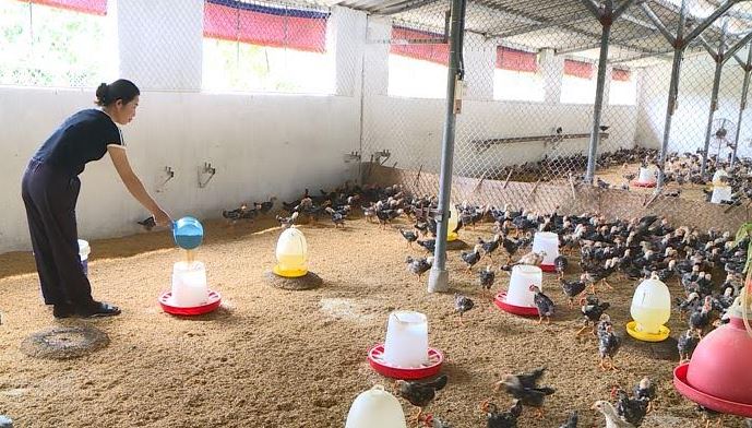 Phụ nữ xã Phúc Thọ - Bản lĩnh – Trí tuệ - Khát vọng vươn mình cùng kỷ nguyên mới- Ảnh 5.