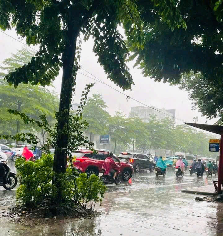 Hà Nội ngày 29/9: có mưa vừa, mưa to và dông, cục bộ có nơi mưa rất to- Ảnh 1.