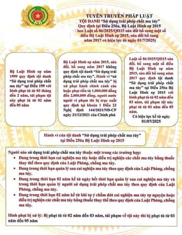 Xử lý hình sự đối với hành vi sử dụng trái phép chất ma túy - Bước chuyển quan trọng trong chiến lược đấu tranh phòng, chống tội phạm và tệ nạn ma túy.- Ảnh 1.