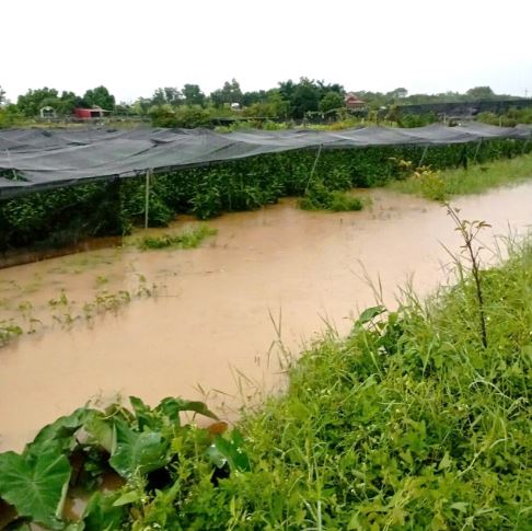 Cập nhật tình hình ứng phó với cơn bão số 10 trên địa bàn xã Phúc Thọ- Ảnh 4.