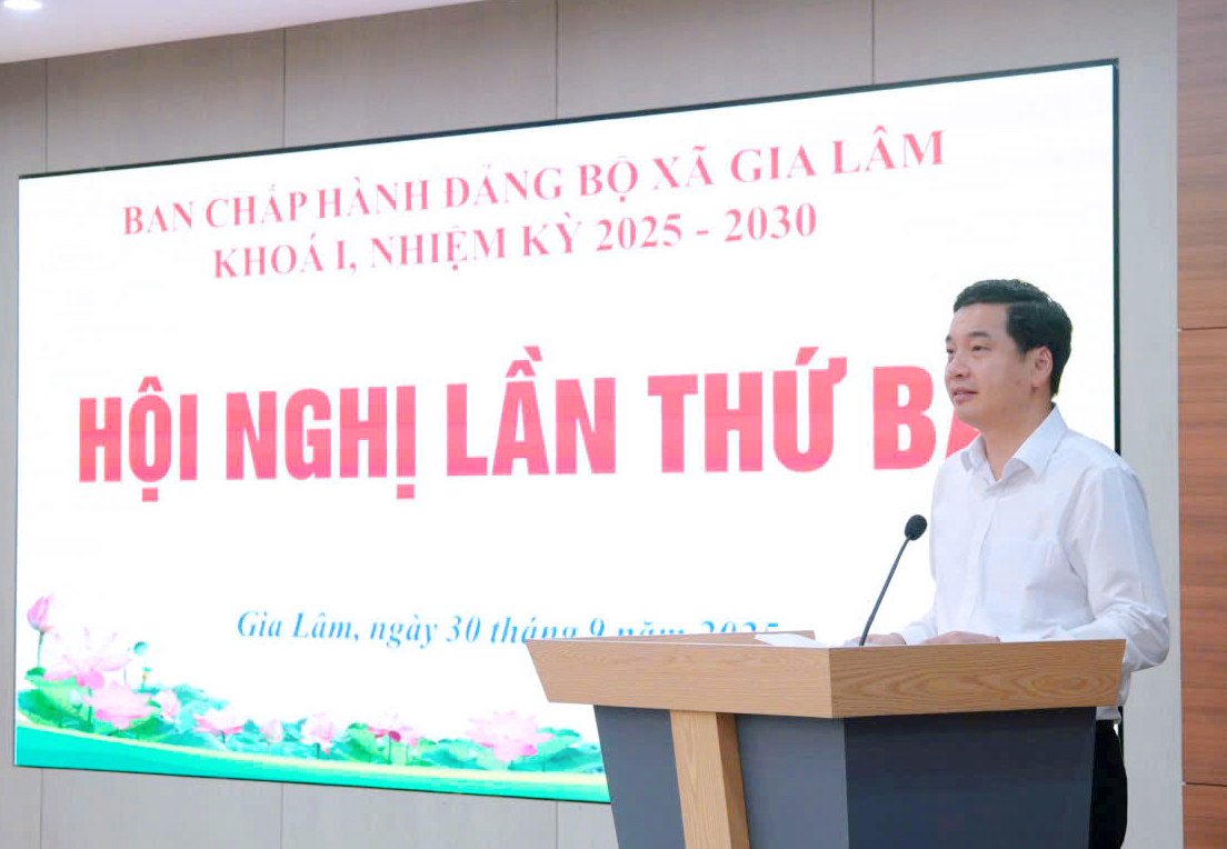 Hội nghị lần thứ ba BCH Đảng bộ xã Gia Lâm- Ảnh 6.