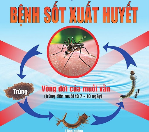 TĂNG CƯỜNG CÔNG TÁC PHÒNG CHỐNG SỐT XUẤT HUYẾT TRÊN ĐỊA BÀN PHƯỜNG YÊN NGHĨA- Ảnh 1.