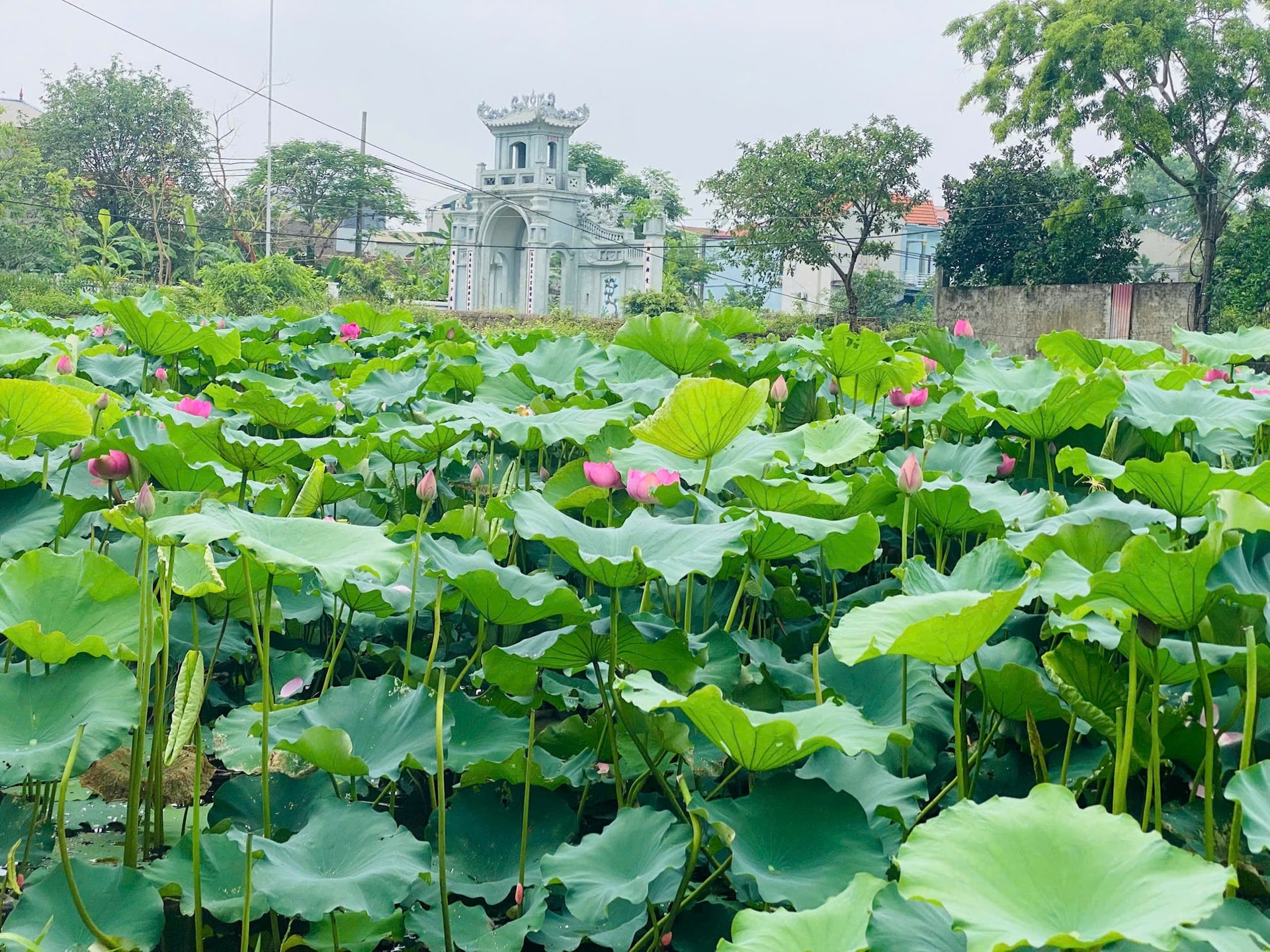 Ngày thứ hai vận hành mô hình mới: Ghi nhận từ lòng dân- Ảnh 1.
