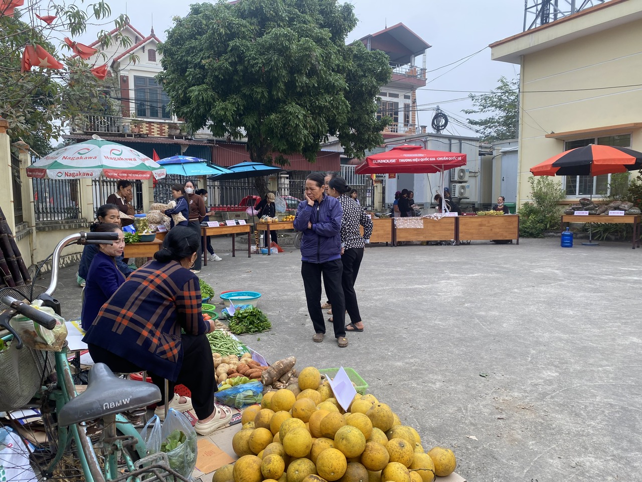 Nông sản thôn Vài kết nối tấm lòng, gây quỹ từ thiện ủng hộ phụ nữ nghèo đón tết- Ảnh 10.