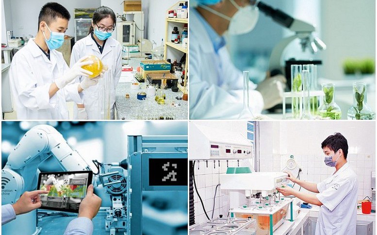 Ban hành Khung kiến trúc tổng thể quốc gia số: Nền tảng thống nhất cho quốc gia số phát triển- Ảnh 3.