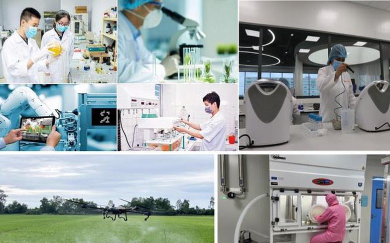 Ban hành Khung kiến trúc tổng thể quốc gia số: Nền tảng thống nhất cho quốc gia số phát triển- Ảnh 2.