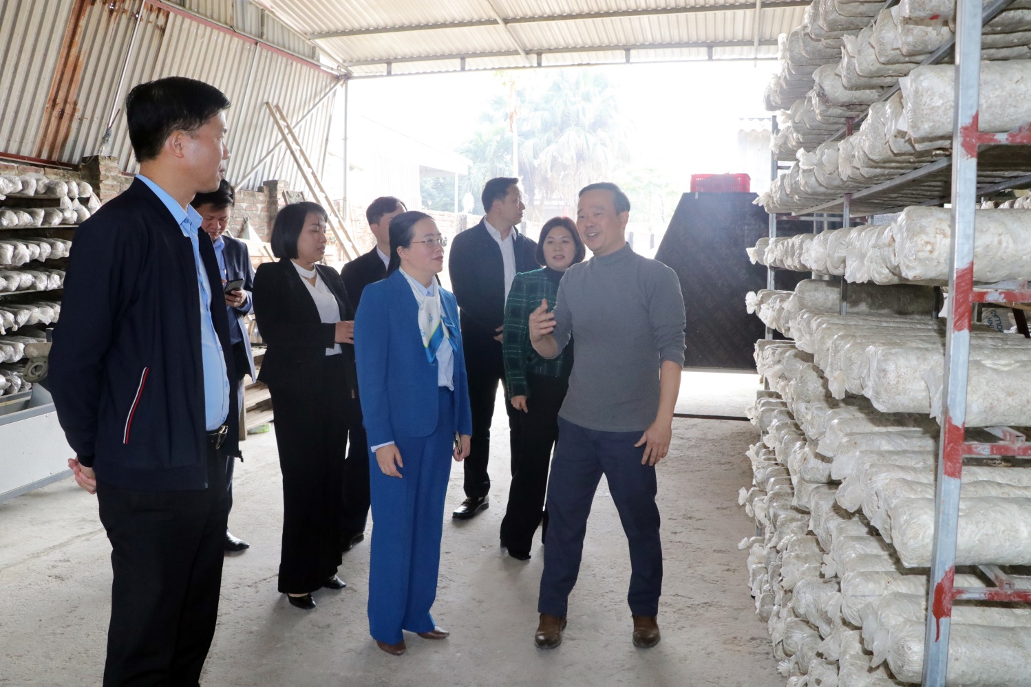 Hội Nông dân Thành Phố Hà Nội  khảo sát và làm việc thống nhất chương trình phối hợp với xã Trần Phú- Ảnh 5.