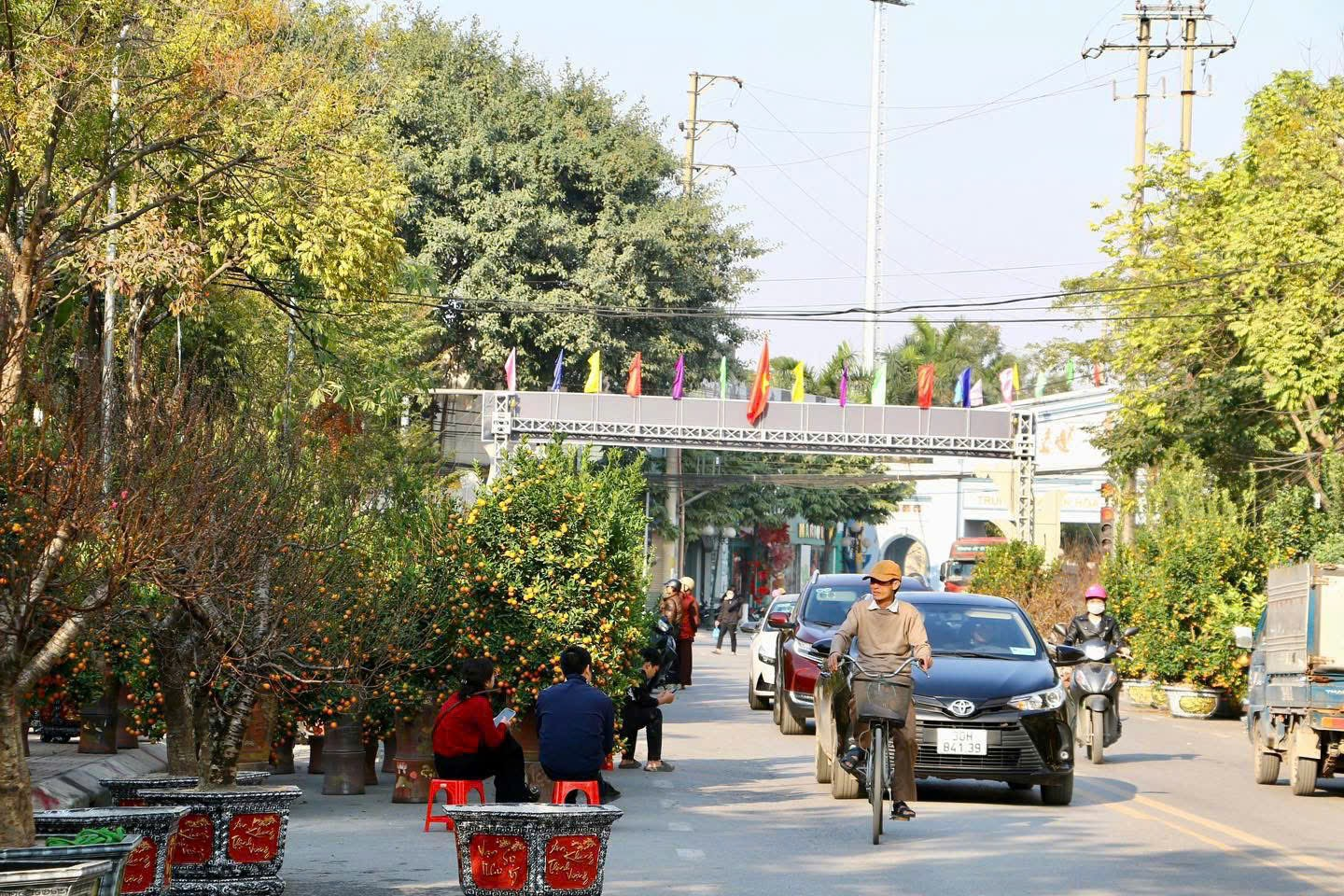 Chợ hoa Xuân Bính Ngọ năm 2026 diễn ra từ ngày 23/1 đến 16/2/2026.- Ảnh 1.