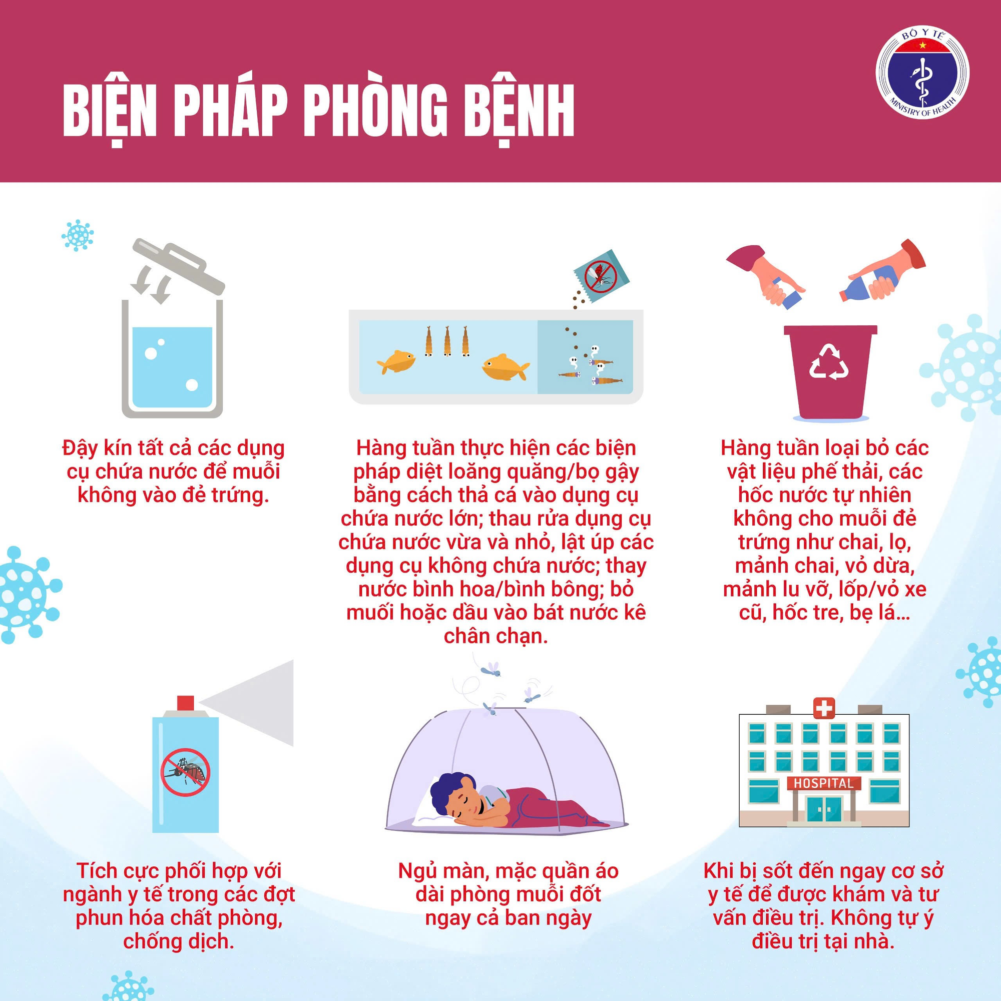Biện pháp phòng, chống bệnh sốt xuất huyết- Ảnh 1.
