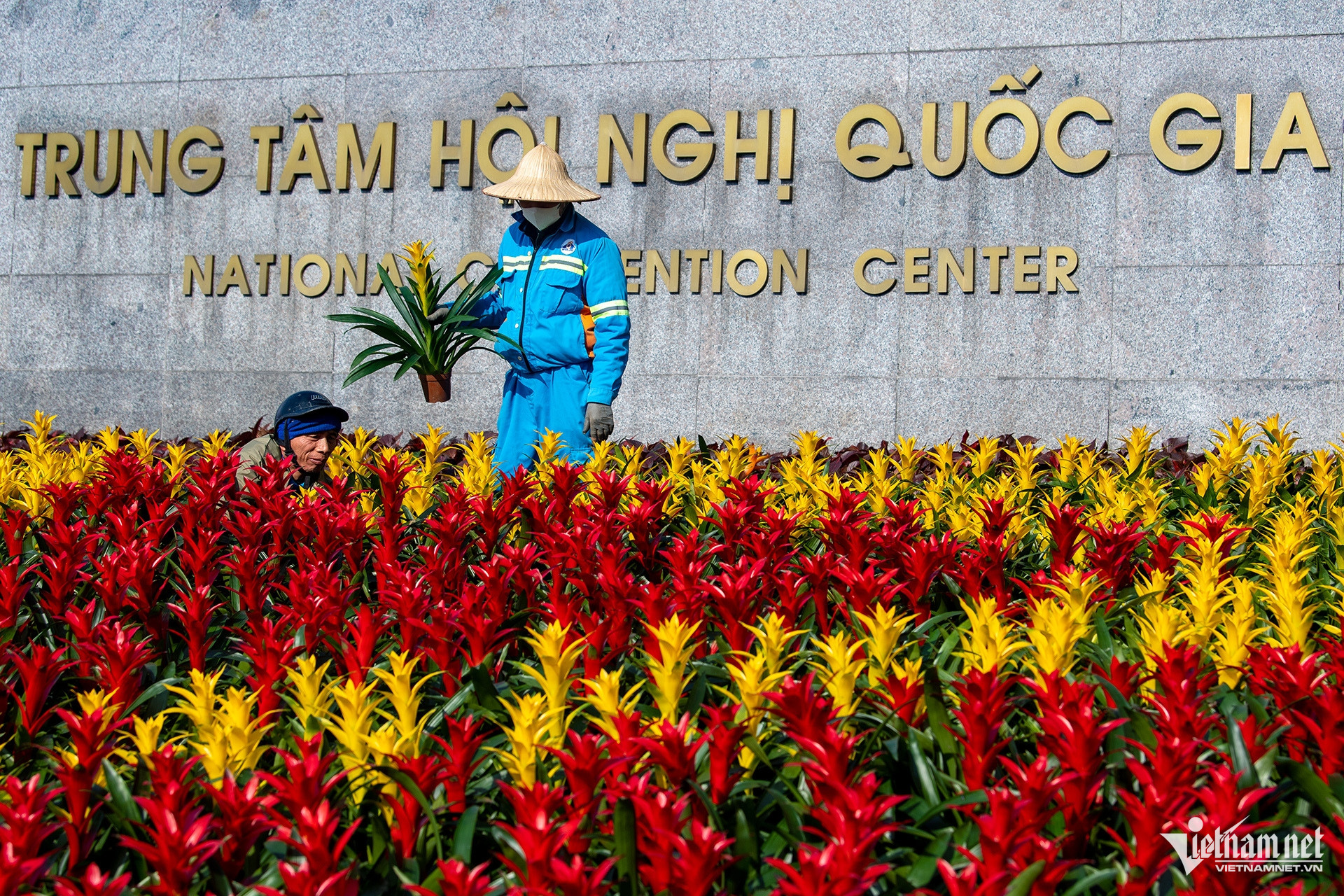 Phố phường Hà Nội rực rỡ cờ hoa chào mừng Đại hội 14 của Đảng- Ảnh 13.