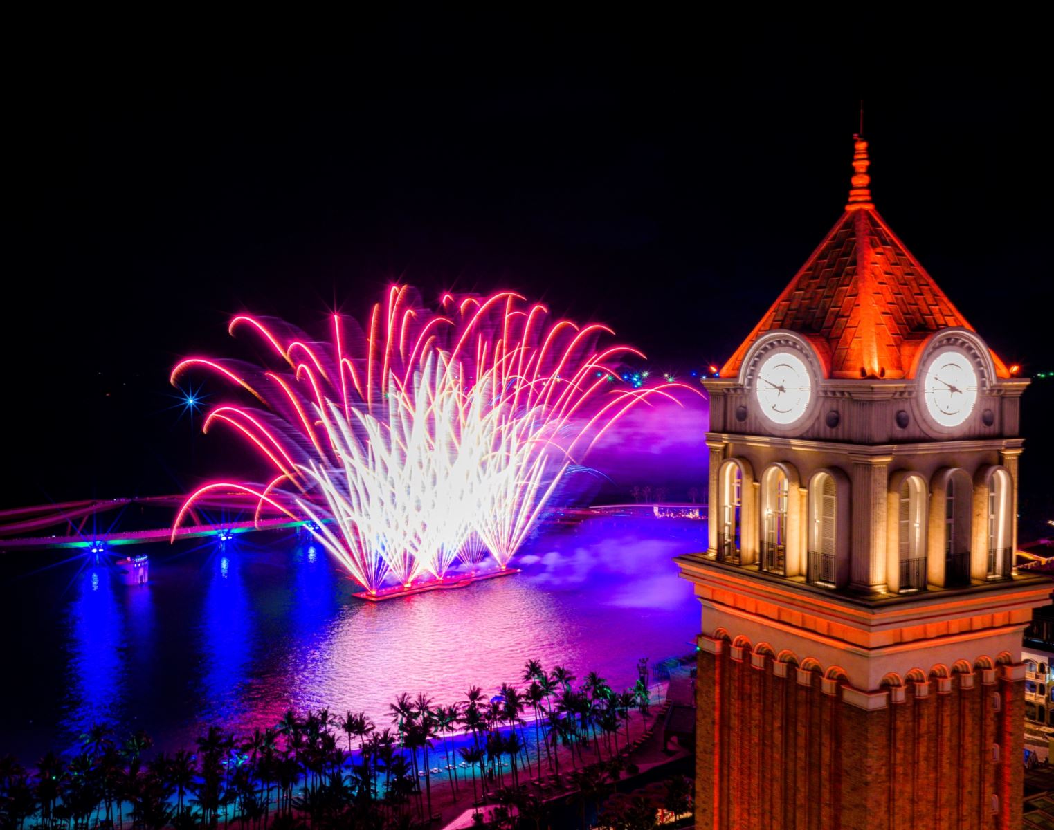 Mừng Đại hội Đảng XIV: Người dân Thủ đô lần đầu được xem trình diễn pháo hoa nghệ thuật quy mô lớn- Ảnh 3.