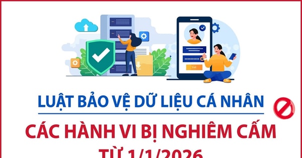 Luật Bảo vệ dữ liệu cá nhân: Các hành vi bị nghiêm cấm từ 1-1-2026- Ảnh 1.