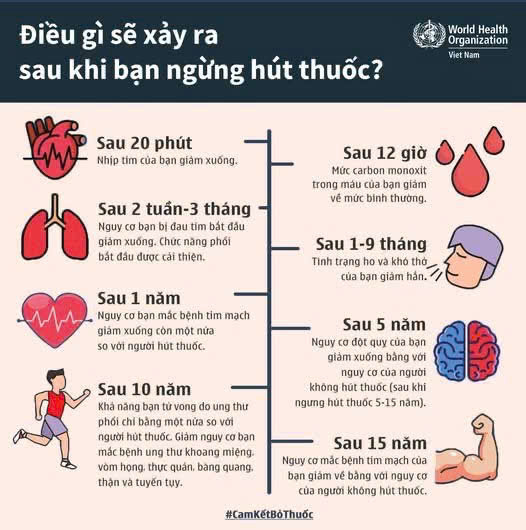 Bỏ thuốc lá vì sức khỏe của chính mình và cộng đồng- Ảnh 1.