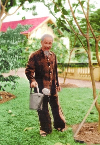 Bác Hồ trồng cây.jpg