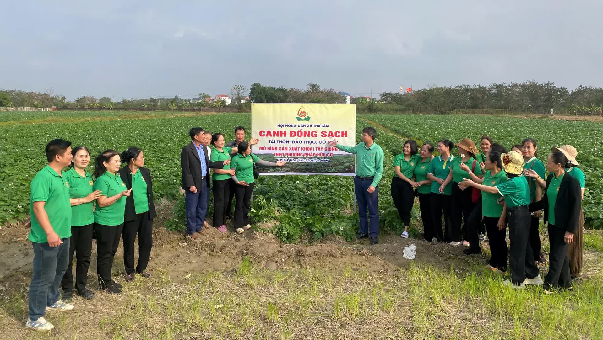 Xã Thư Lâm đẩy mạnh mô hình sản xuất nông nghiệp kinh tế cao- Ảnh 1.