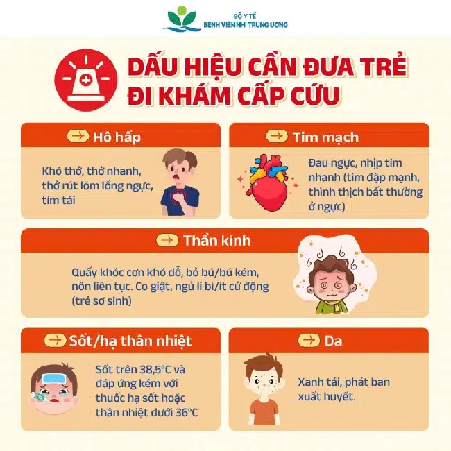 Trẻ ốm trong mùa lạnh: Dấu hiệu ‘cờ đỏ’ cần đi khám ngay- Ảnh 2.