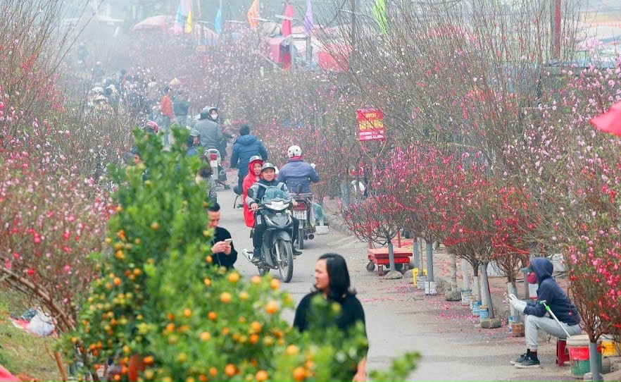 Hoài Đức tổ chức Chợ hoa Xuân Bính Ngọ năm 2026 phục vụ nhân dân đón Tết- Ảnh 1.