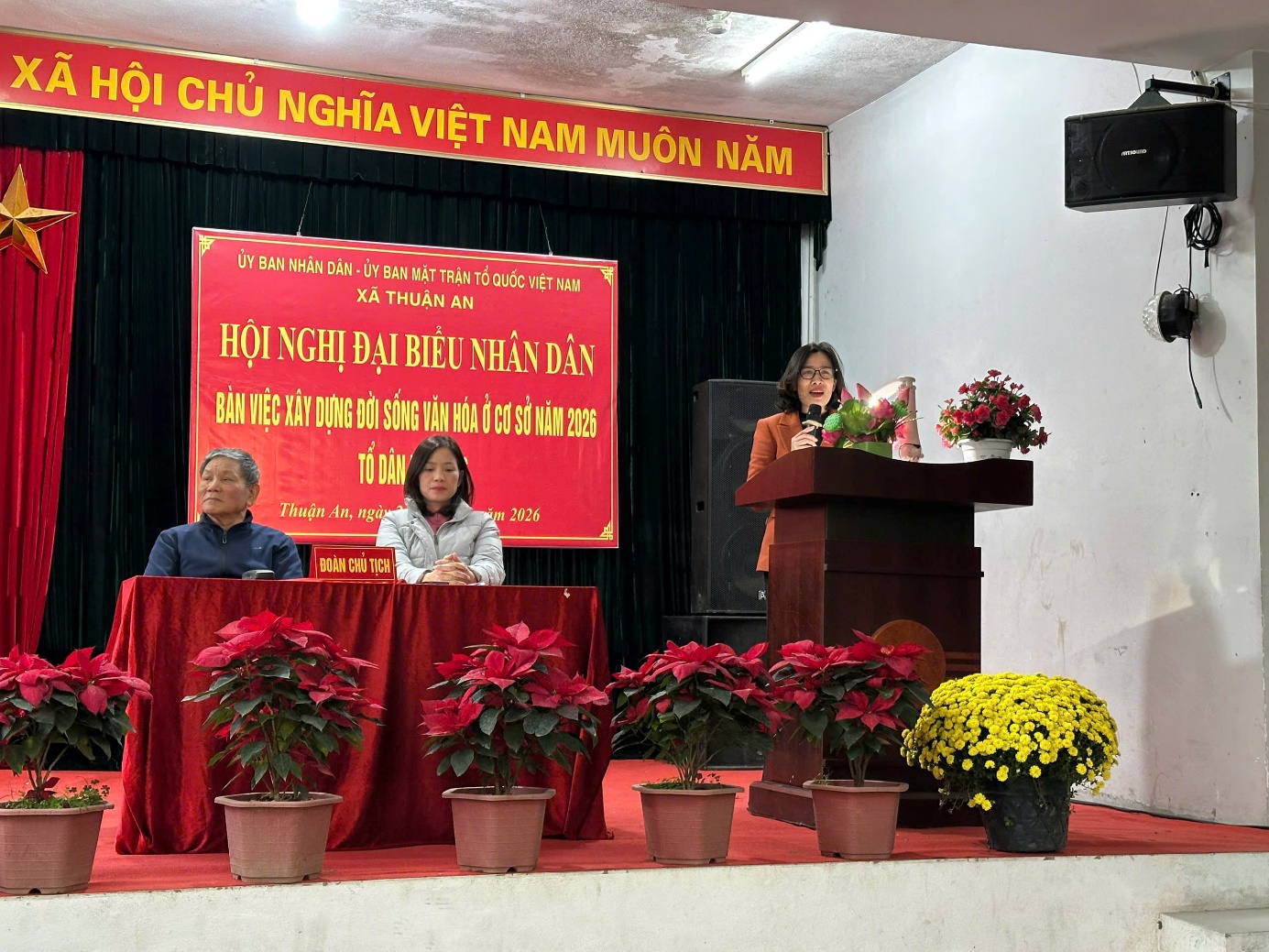 Ảnh có chứa văn bản, trong nhà, cây trồng trong nhà, chậu hoa  Nội dung do AI tạo ra có thể không chính xác.