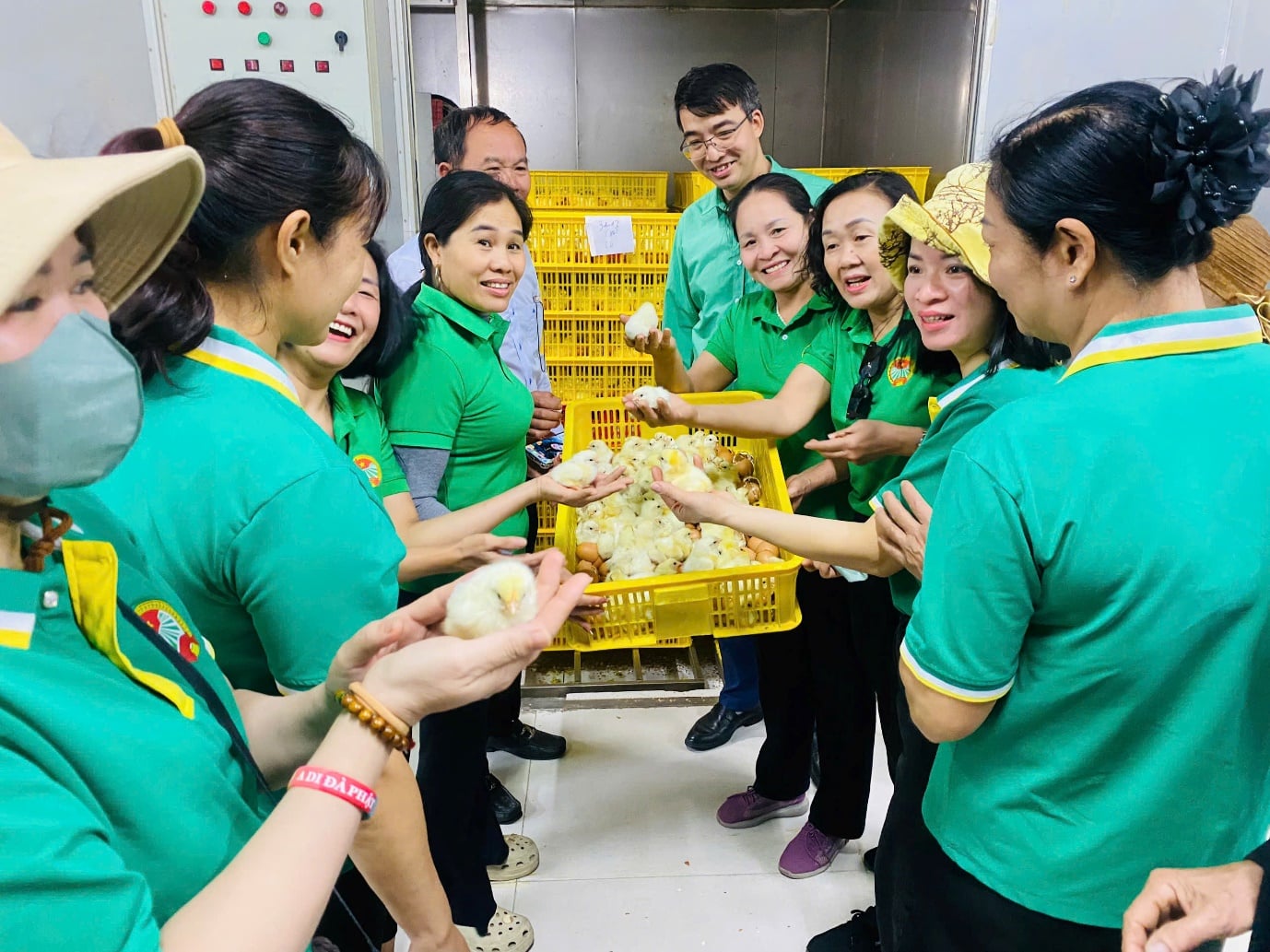 Xã Thư Lâm, TP Hà Nội (địa phận huyện Đông Anh), nông dân làm nông nghiệp công nghệ cao, sản phẩm sao OCOP- Ảnh 5.