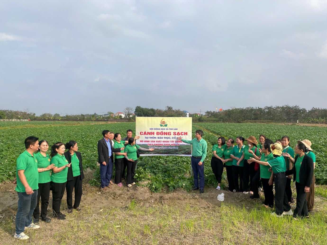 Xã Thư Lâm, TP Hà Nội (địa phận huyện Đông Anh), nông dân làm nông nghiệp công nghệ cao, sản phẩm sao OCOP- Ảnh 6.