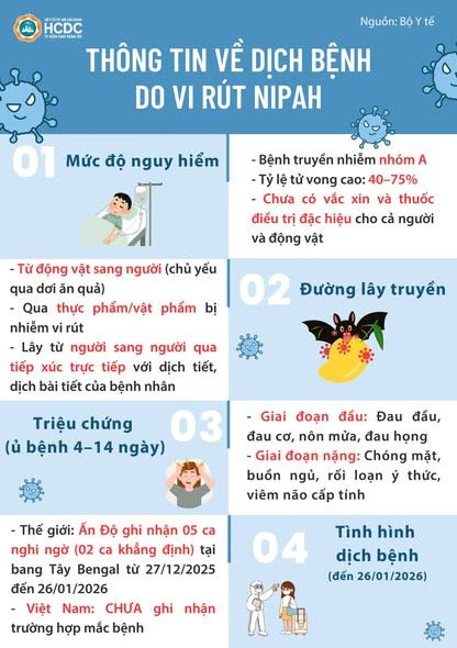 Thông tin về dịch bệnh do vi rút Nipah- Ảnh 1.