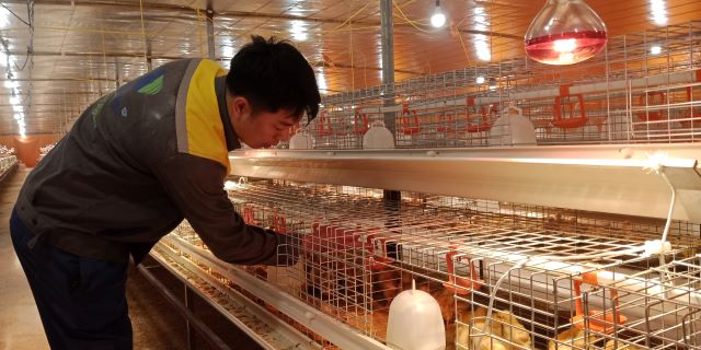 Sản xuất nông nghiệp sạch, liên kết bền vững tạo nên giá trị trứng gà Phú Quý - Ảnh 5.