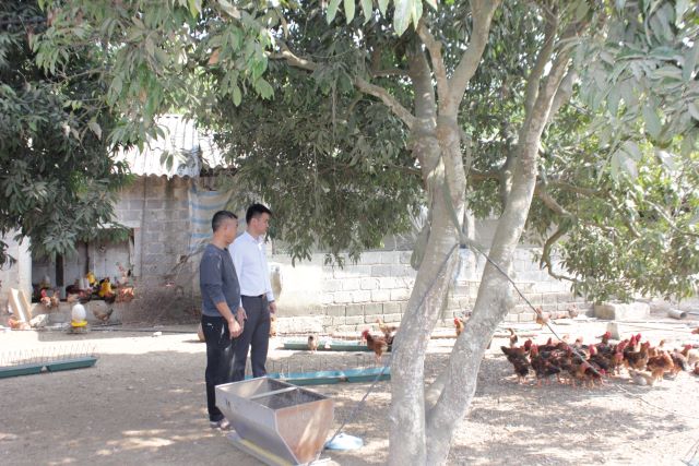 Sản xuất nông nghiệp sạch, liên kết bền vững tạo nên giá trị trứng gà Phú Quý - Ảnh 6.