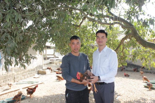 Sản xuất nông nghiệp sạch, liên kết bền vững tạo nên giá trị trứng gà Phú Quý - Ảnh 7.