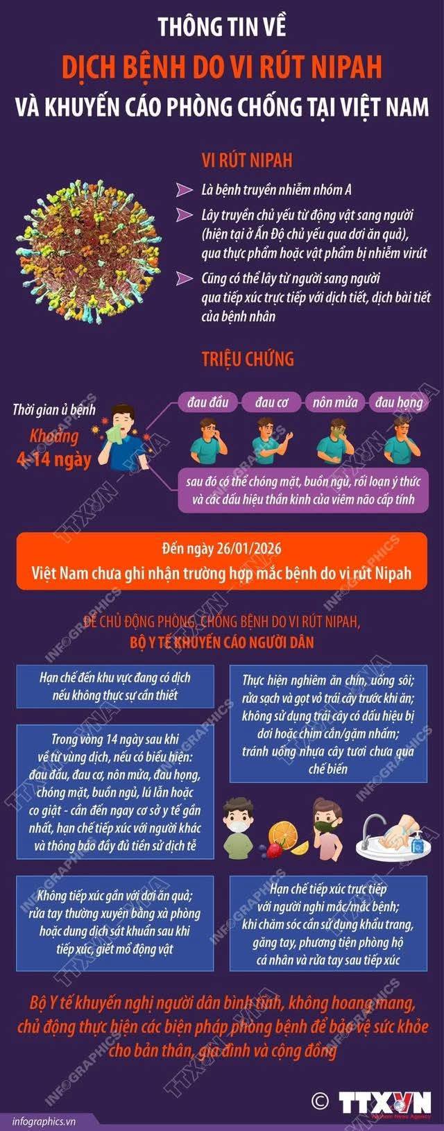Thông tin về dịch bệnh do vi rút NIPAH và khuyến cáo phòng chống tại Việt Nam- Ảnh 1.