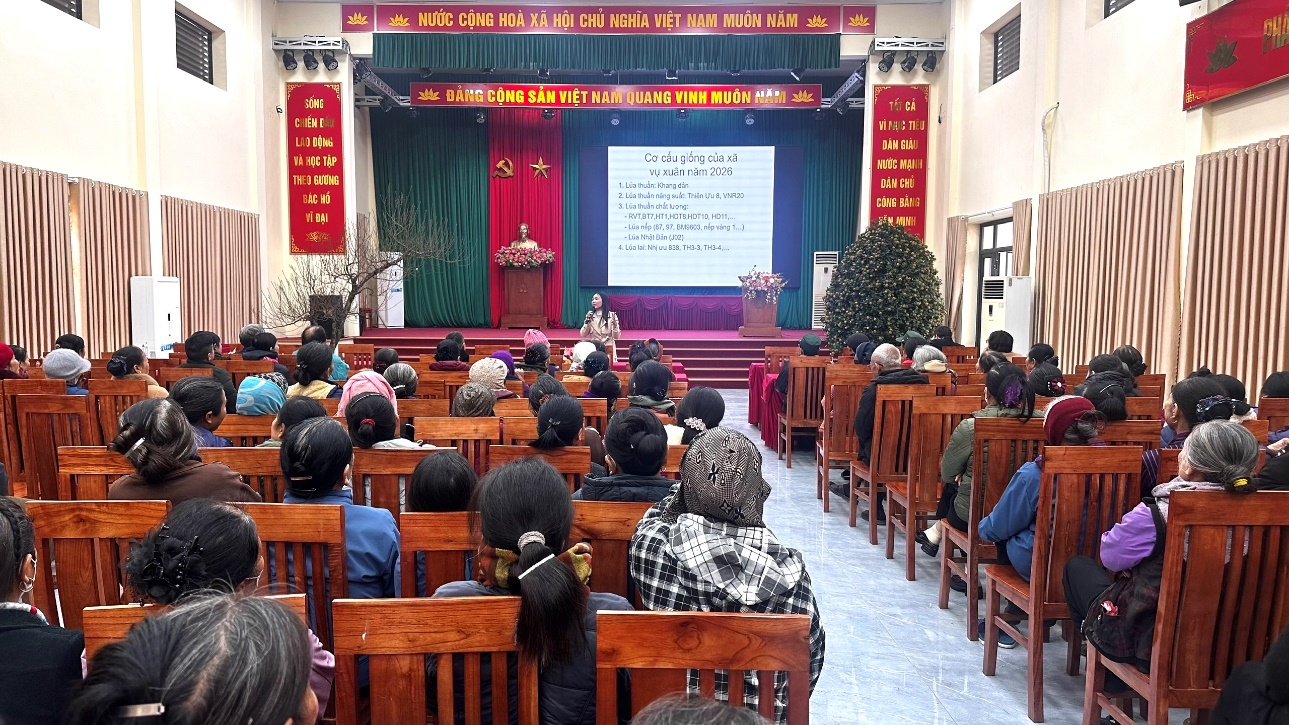 Xã Hồng Sơn tổ chức 03 lớp tập huấn kỹ thuật canh tác và phòng trừ sâu bệnh hại lúa vụ Xuân 2026 cho nông dân- Ảnh 2.