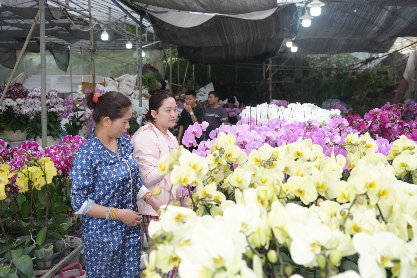 Gia Lâm khai mạc hội chợ hoa Xuân Tết Nguyên đán Bính Ngọ 2026- Ảnh 5.