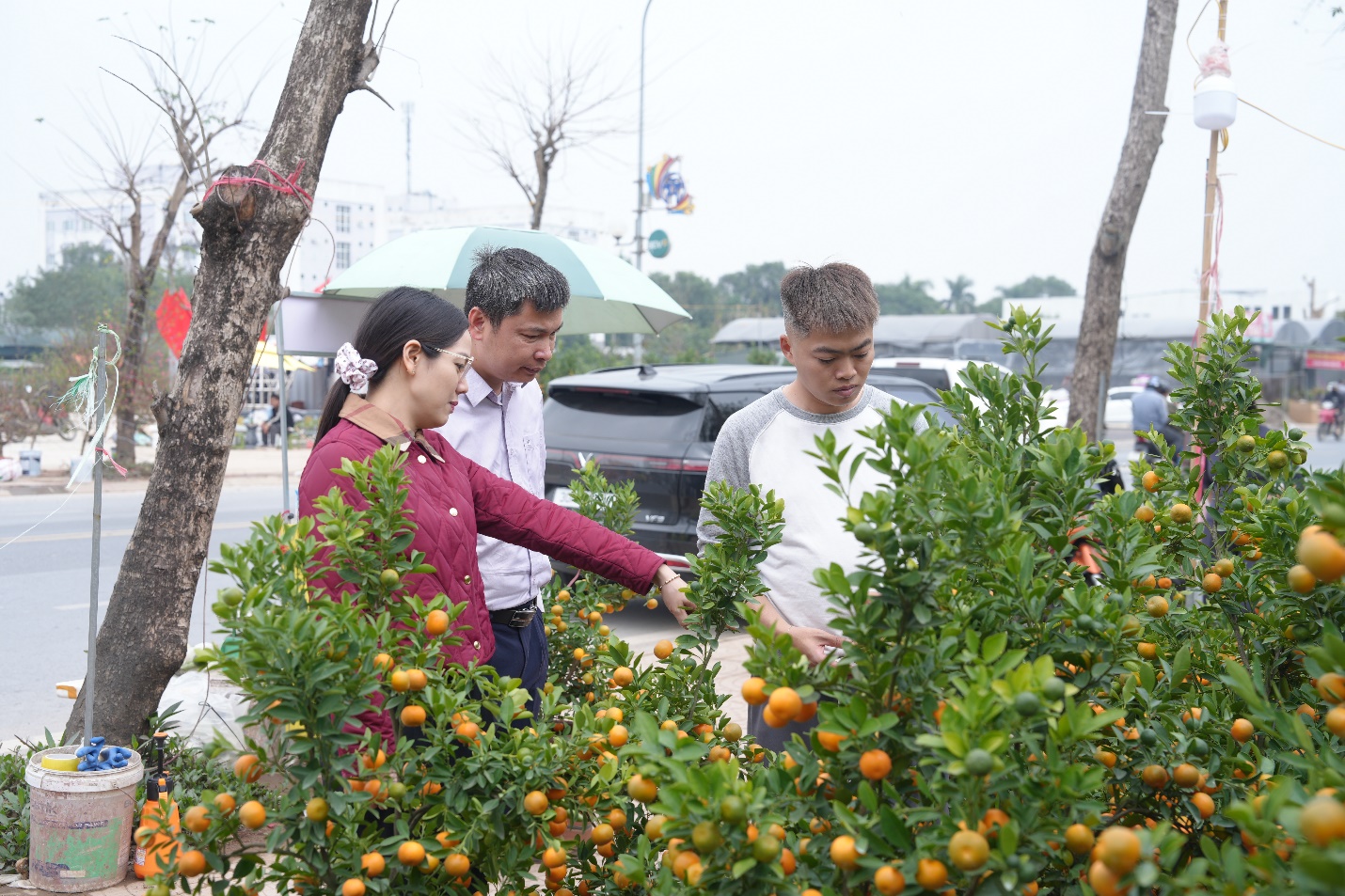 Gia Lâm khai mạc hội chợ hoa Xuân Tết Nguyên đán Bính Ngọ 2026- Ảnh 6.