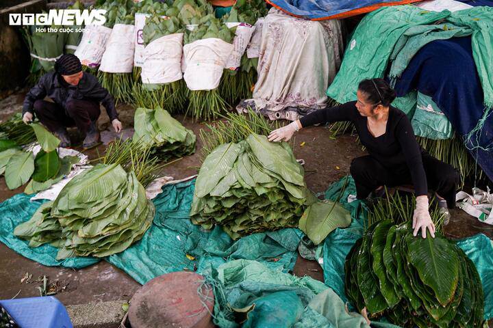 LÀNG LÁ DONG TRÀNG CÁT (XÃ THANH OAI) VÀO VỤ THU HOẠCH TẾT- Ảnh 14.