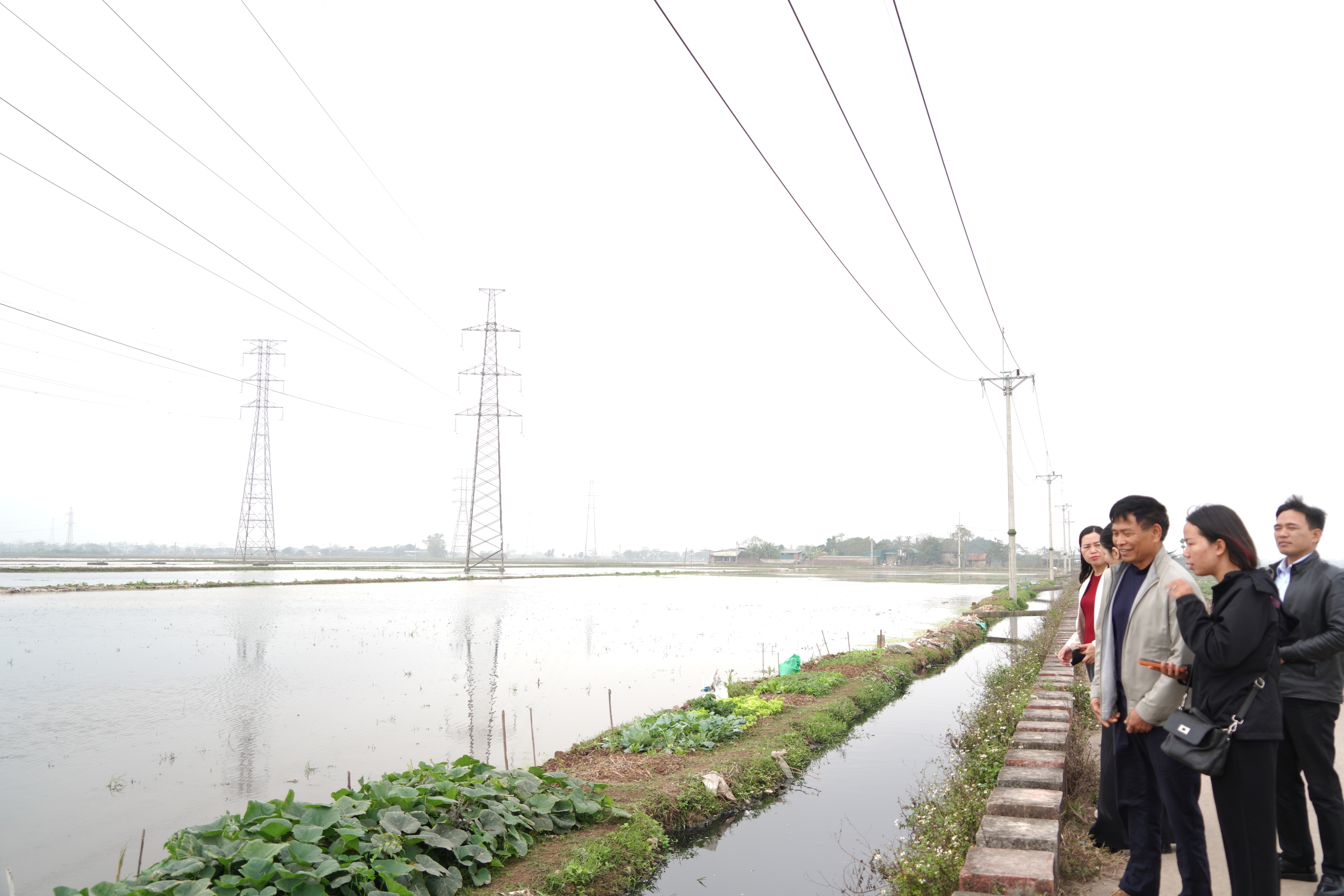 Chương Mỹ tập trung cho sản xuất vụ Xuân 2026- Ảnh 4.