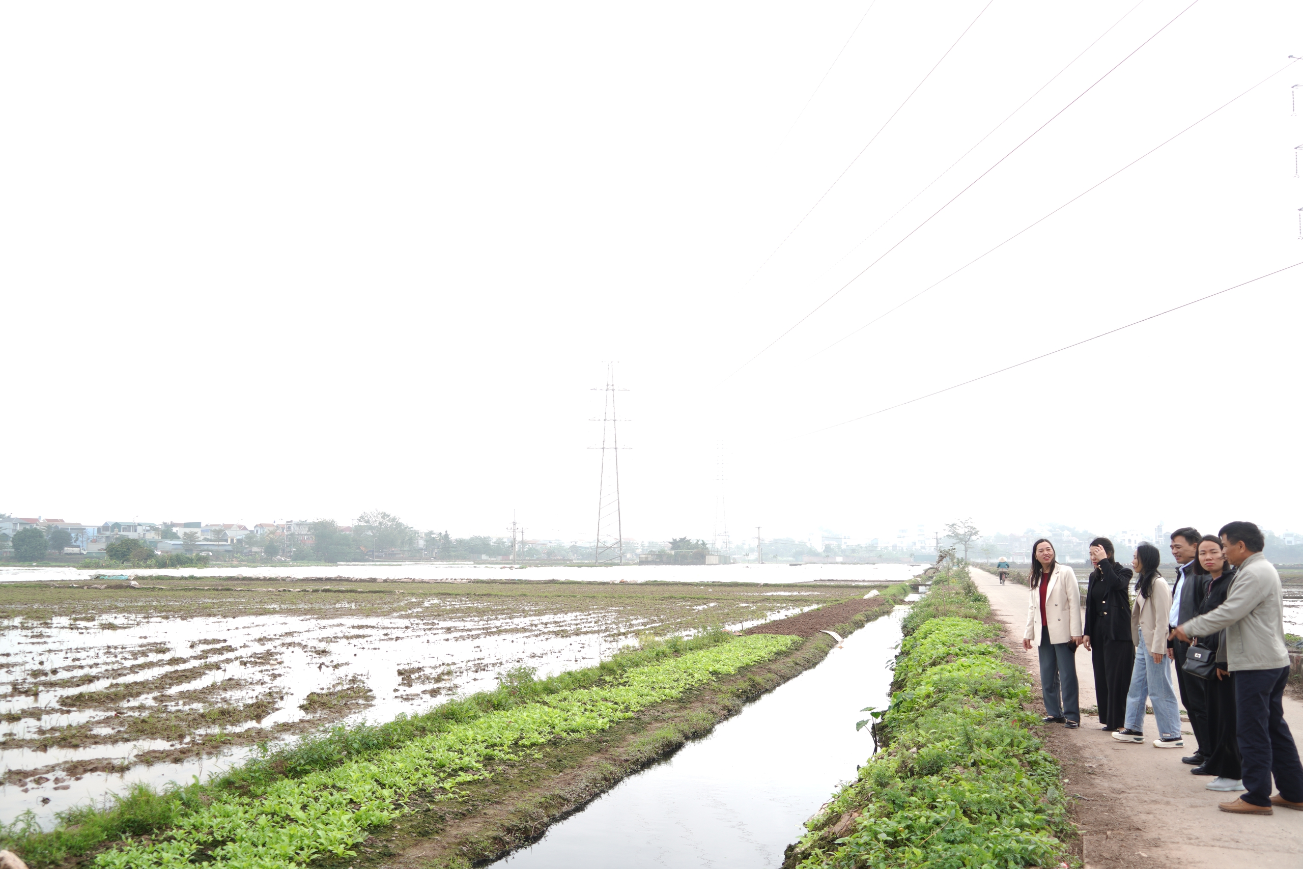 Chương Mỹ tập trung cho sản xuất vụ Xuân 2026- Ảnh 5.