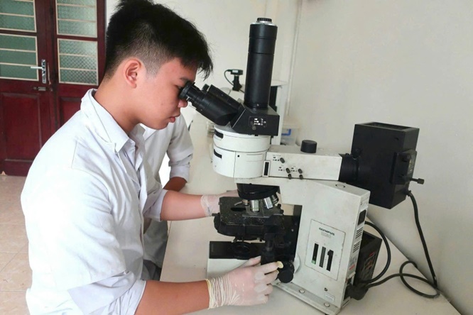 Trường THPT Hoài Đức A xuất sắc đat giải Nhì cuộc thi Khoa học kỹ thuật cấp Thành phố năm học 2025-2026- Ảnh 3.