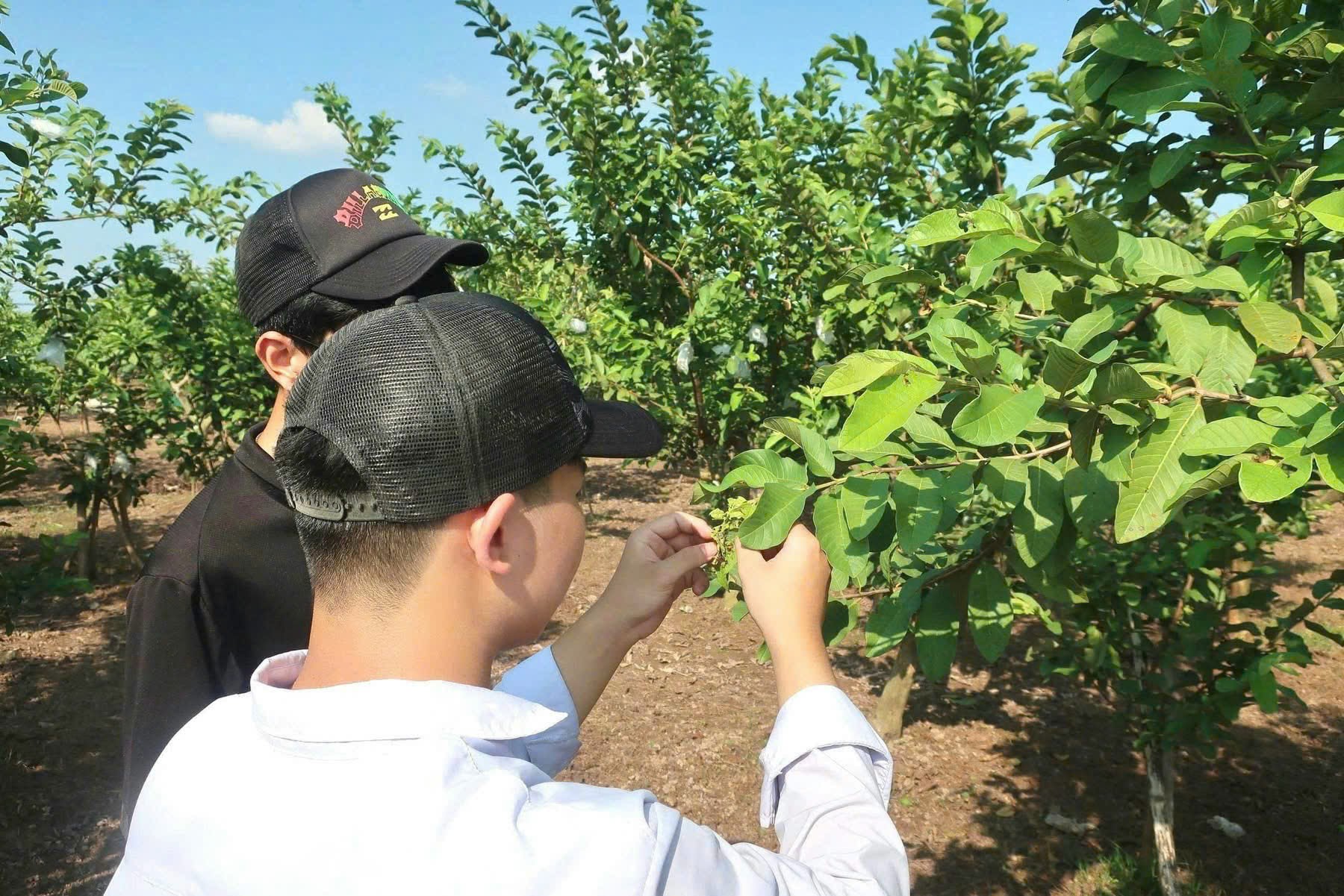 Trường THPT Hoài Đức A xuất sắc đat giải Nhì cuộc thi Khoa học kỹ thuật cấp Thành phố năm học 2025-2026- Ảnh 2.