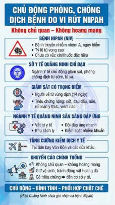 CHỦ ĐỘNG PHÒNG, CHỐNG DỊCH BỆNH DO VI RÚT NIPAH TRÊN ĐỊA BÀN XÃ PHÚC SƠN- Ảnh 1.
