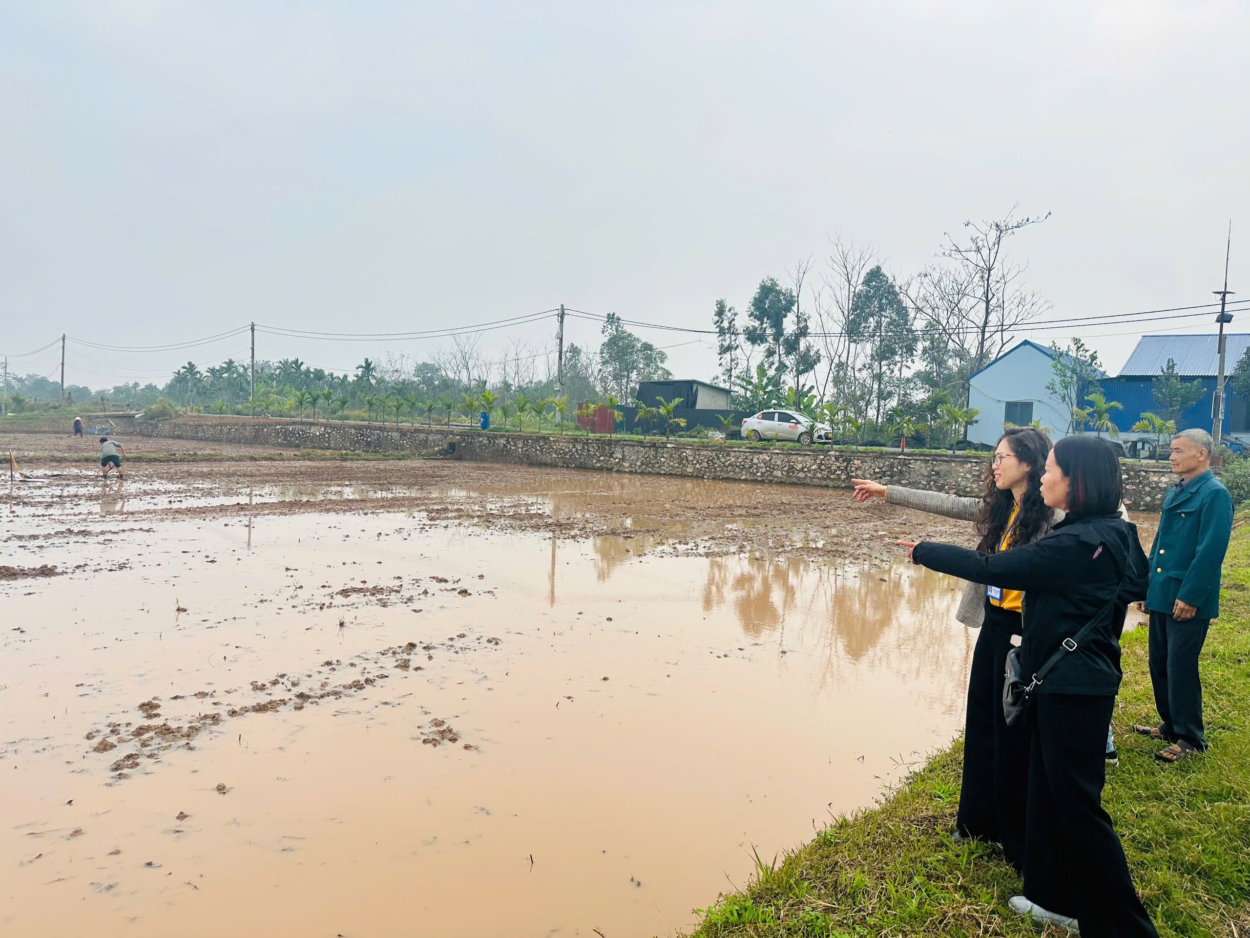 Chương Mỹ tập trung cho sản xuất vụ Xuân 2026- Ảnh 2.