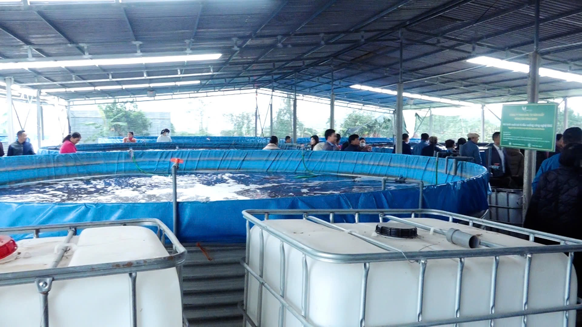 Hội Nông dân xã Hồng Sơn thăm quan mô hình nuôi cá rô phi thương phẩm công nghệ cao tại địa phương- Ảnh 2.