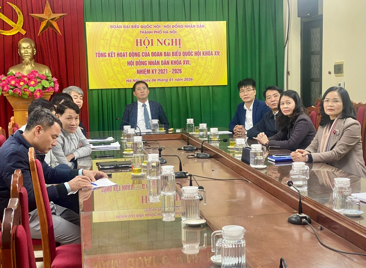 Tổng kết hoạt động của Đoàn ĐBQH, HĐND thành phố Hà Nội - Đồng chí Phó Bí thư Thường trực Đảng ủy xã Diên được Thành phố tặng Bằng khen- Ảnh 1.